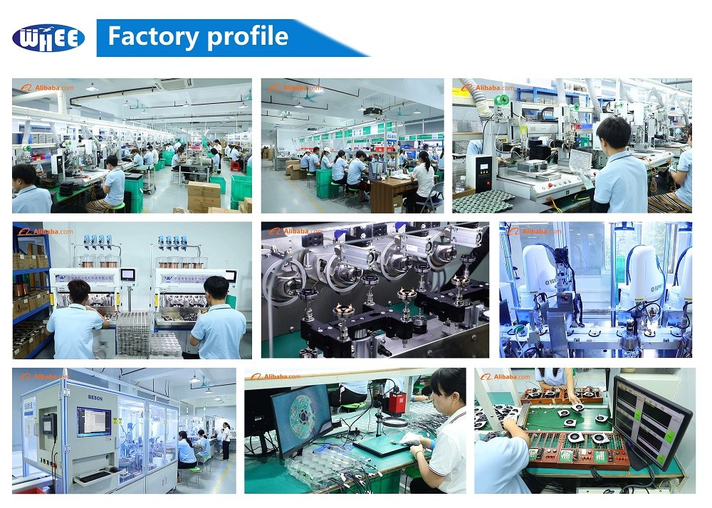 Dongguan Wanhang Electronic Technology Co., Ltd