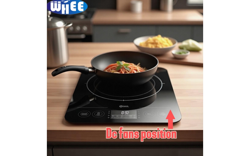 Induction cooker